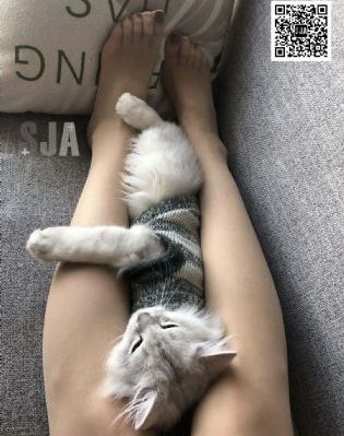 国产精品午夜v免费观看_BD高清免费观看